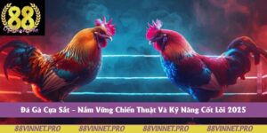 Đá Gà Cựa Sắt – Nắm Vững Chiến Thuật Và Kỹ Năng Cốt Lõi 2025