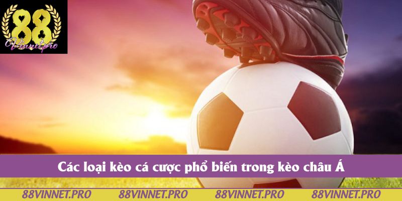 Các loại kèo cá cược phổ biến trong kèo châu Á