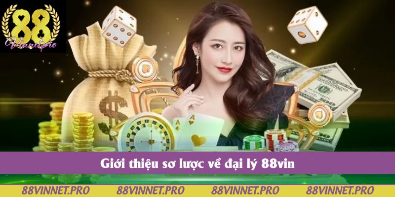 Giới thiệu sơ lược về đại lý 88vin