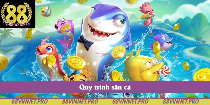 Quy trình săn cá